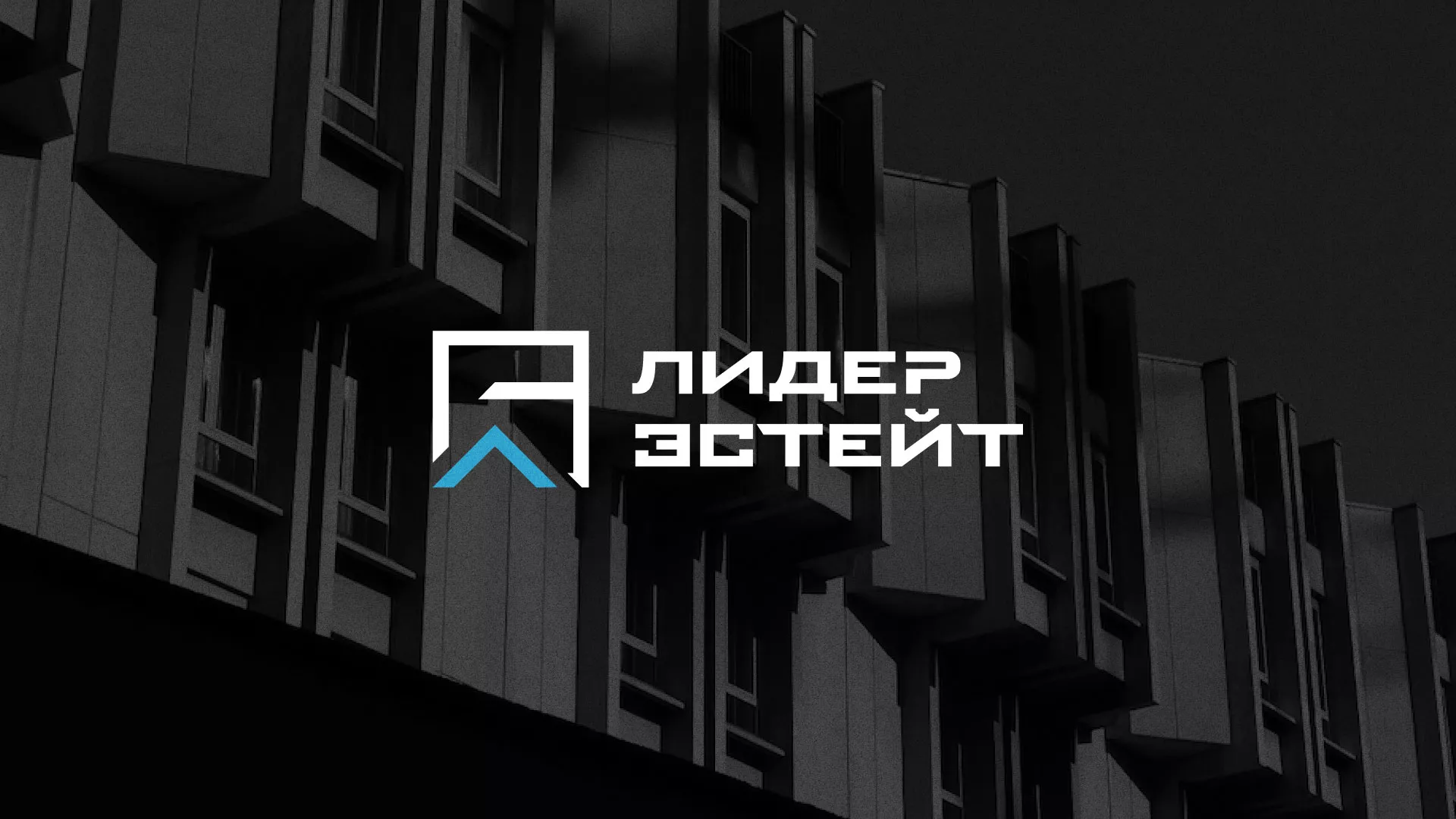 Разработка логотипа агентства недвижимости «Лидер Эстейт» в Темрюке