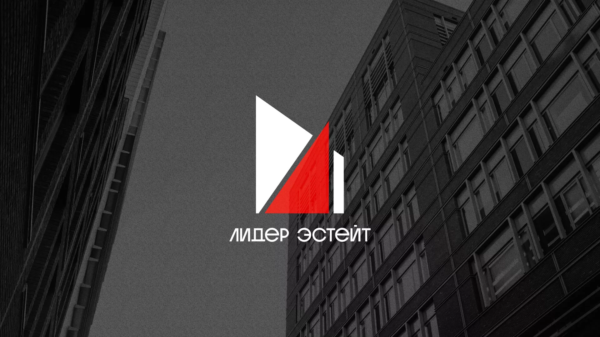 Сделали логотип для агентства недвижимости «Лидер Эстейт» в Темрюке